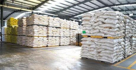 奮戰(zhàn)“開門紅” | 隨州正大 產(chǎn)銷兩旺干勁足，跑出新春“加速度”